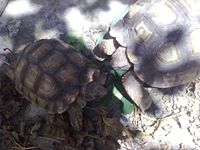 1922065 10203404309336331 136531710 n