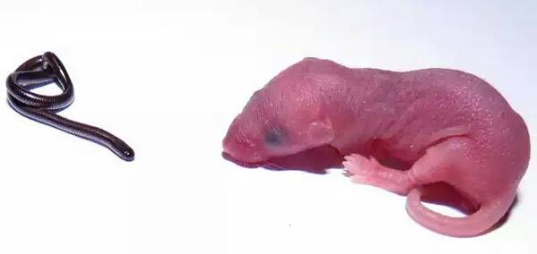 1922410 10152700116343084 1201471977 n