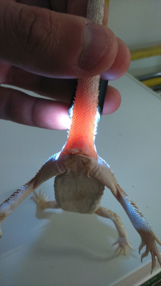 1970562 10152554212332918 1602243825298851779 n