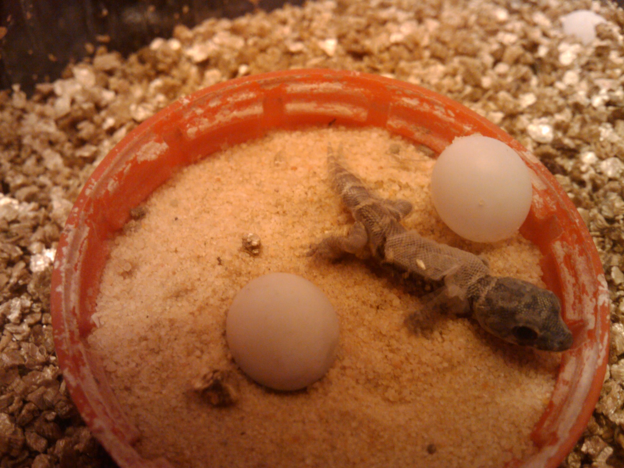 2010-04-28 20.39.51.jpg