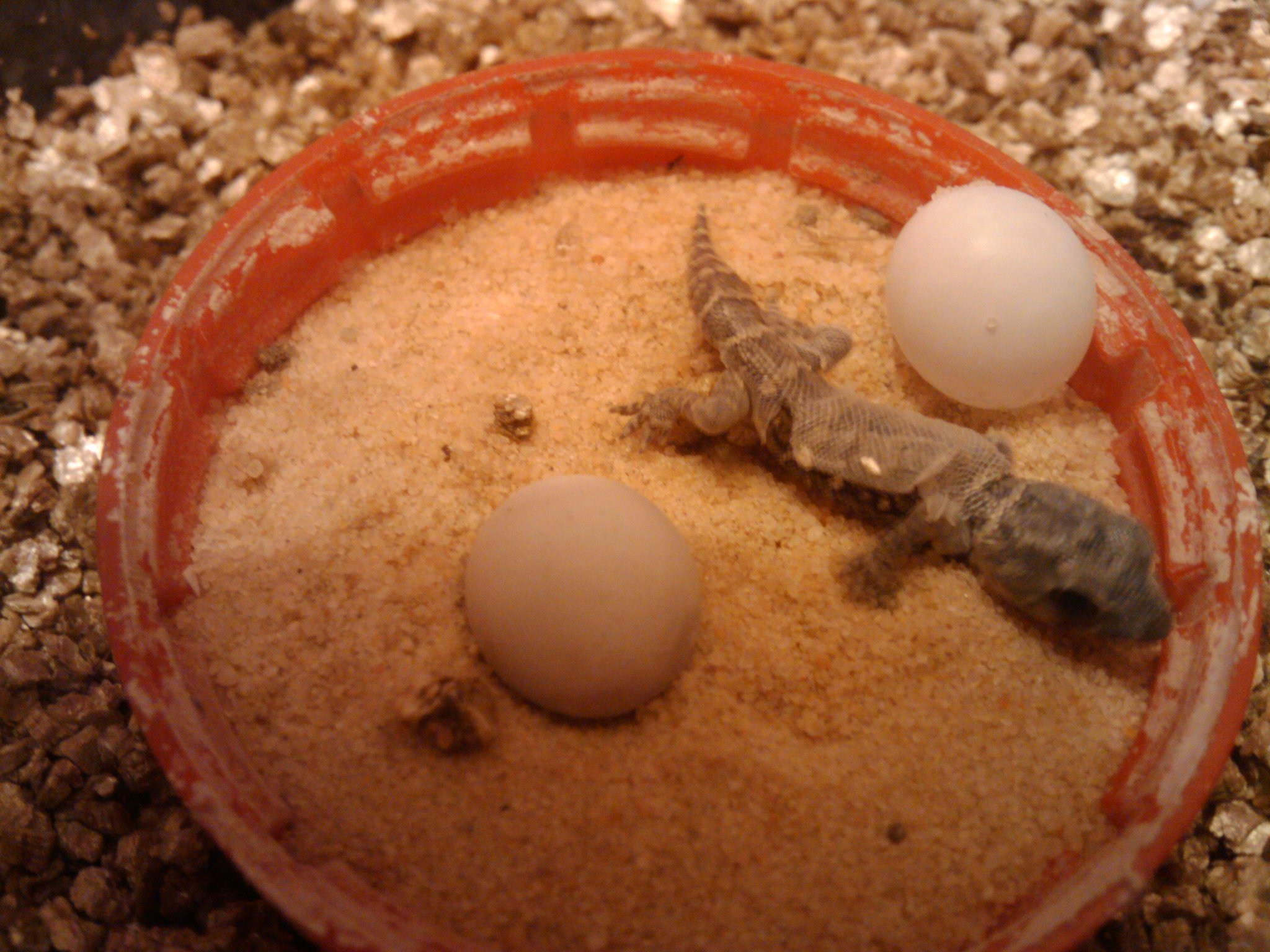 2010-04-28 20.40.09.jpg