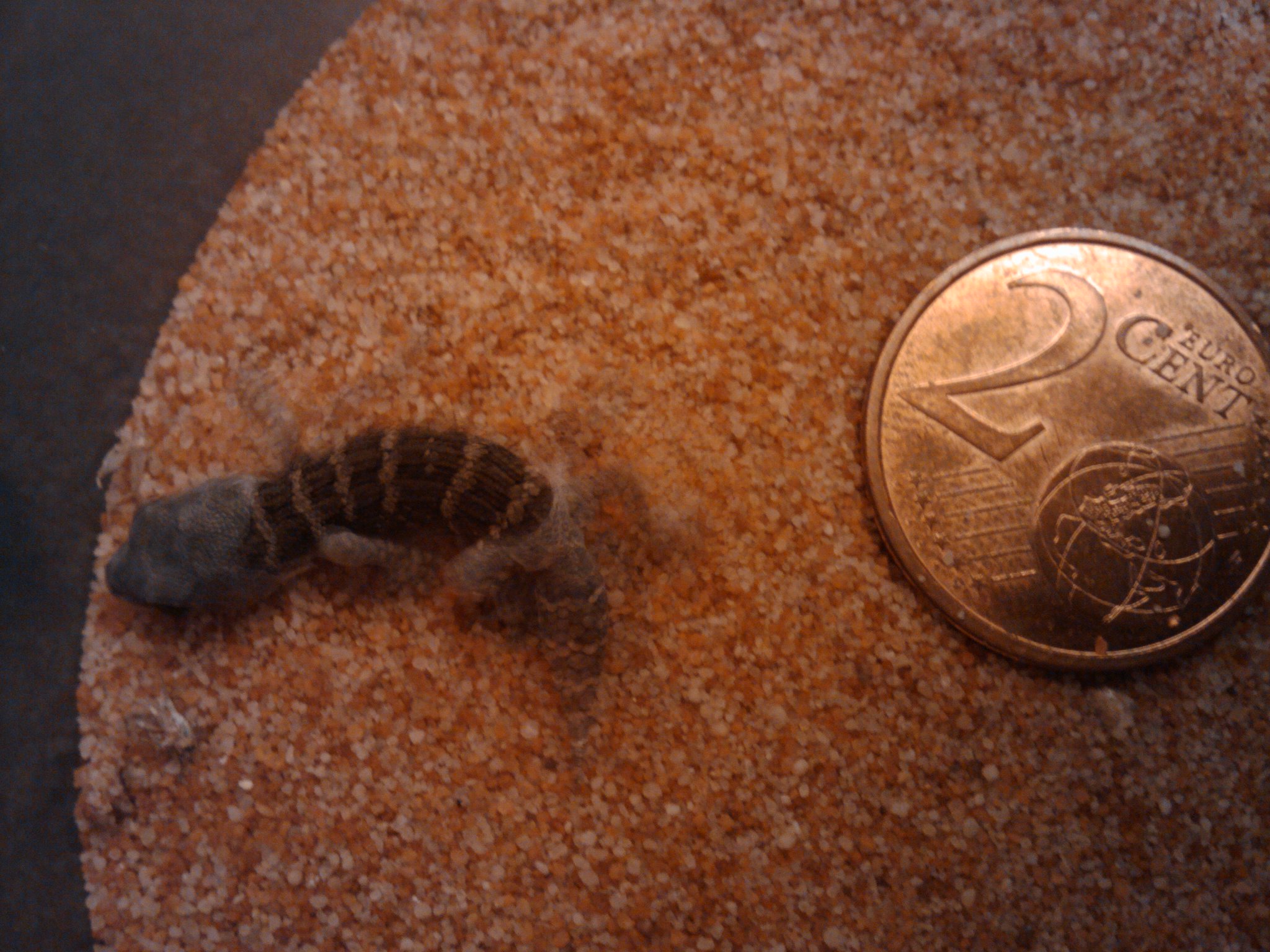 2010-04-28 22.05.39.jpg