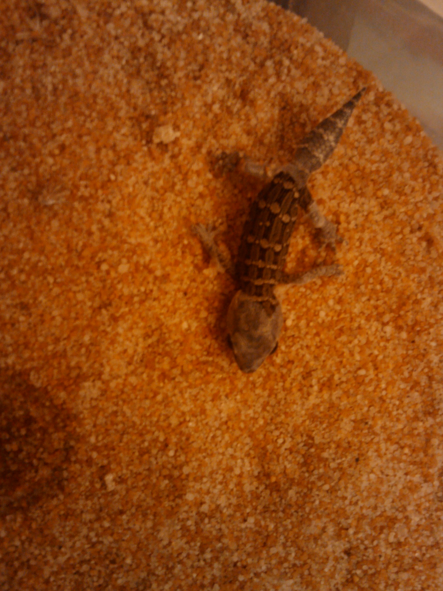 2010-04-28 22.18.02.jpg