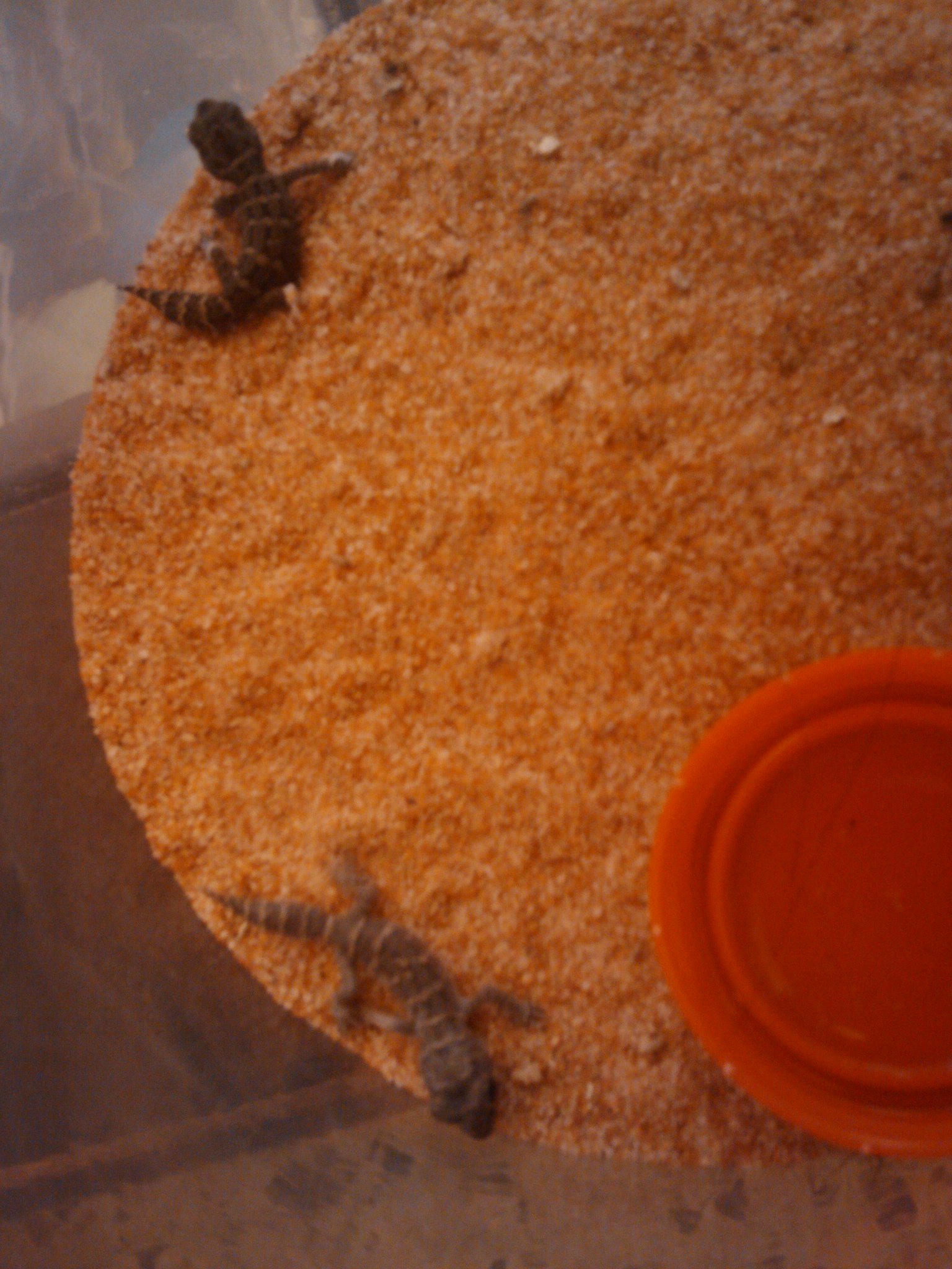 2010-04-29 19.50.59.jpg