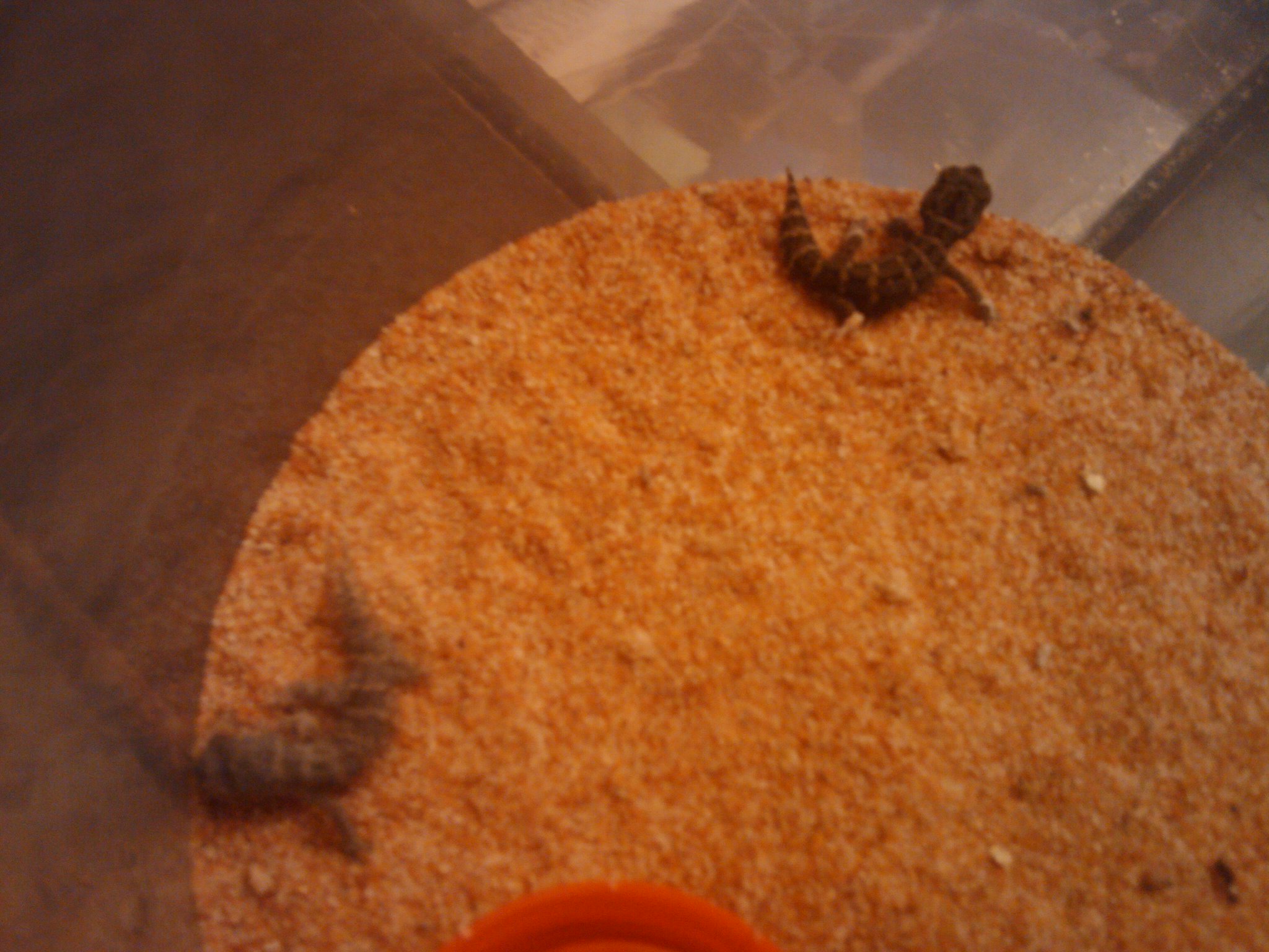 2010-04-29 19.51.11.jpg