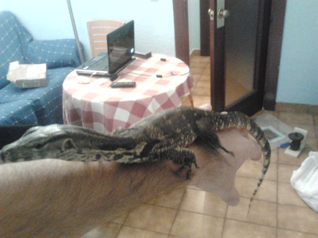 2011-10-26 11.57.20 [1024x768].jpg