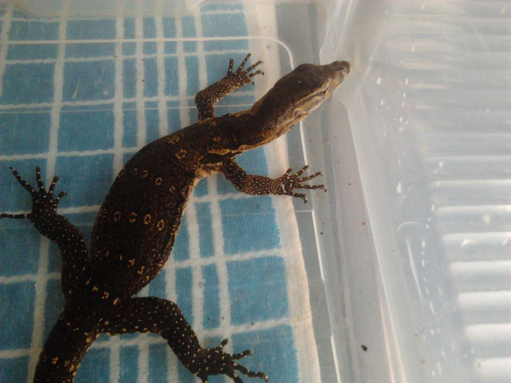 2011-10-26 12.11.29 [1024x768].jpg