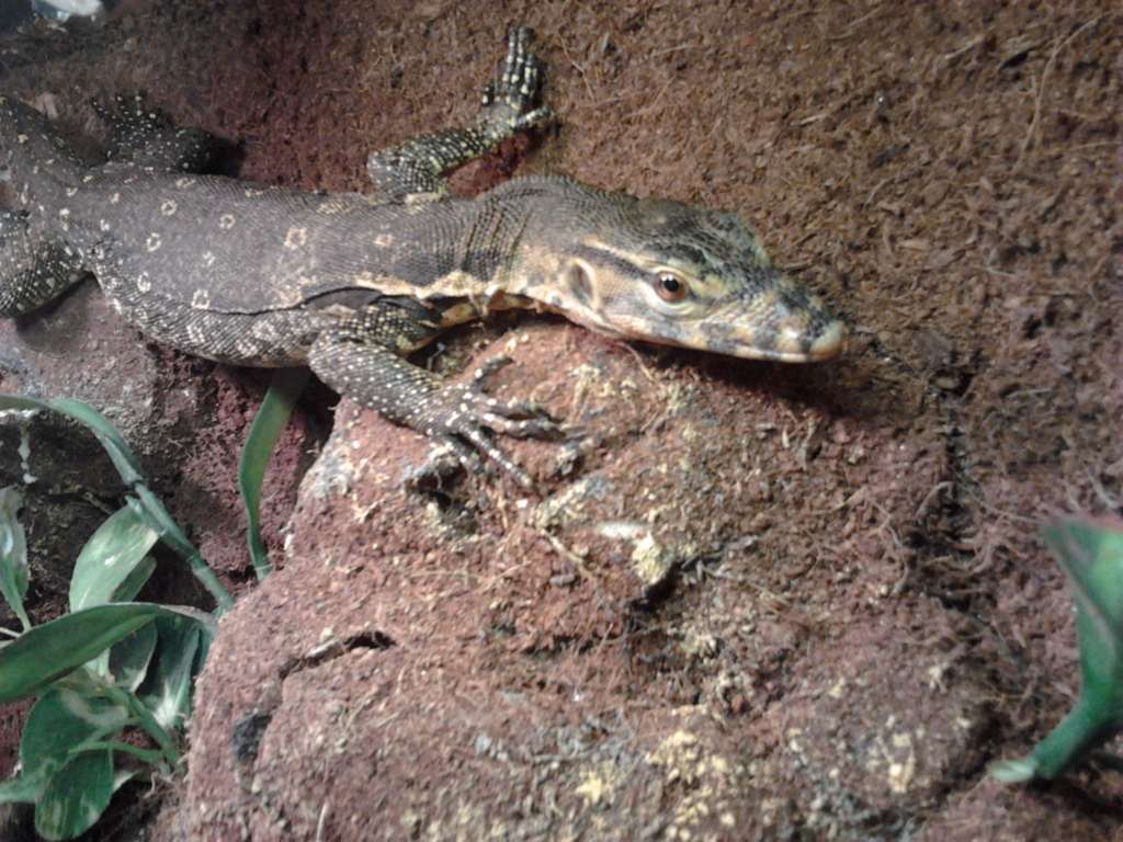 2011-10-30 18.03.06 [1024x768].jpg