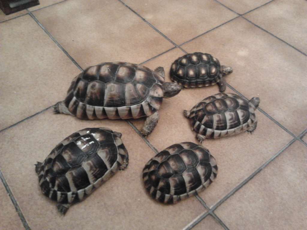 2011-11-15 01.50.32 [1024x768].jpg