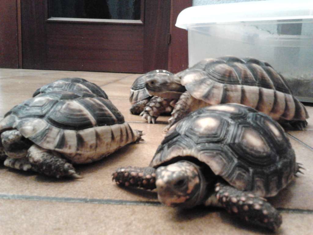 2011-11-15 01.50.47 [1024x768].jpg