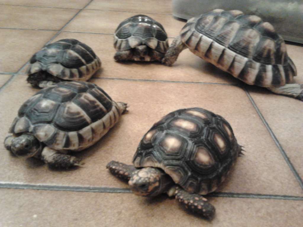 2011-11-15 01.50.58 [1024x768].jpg