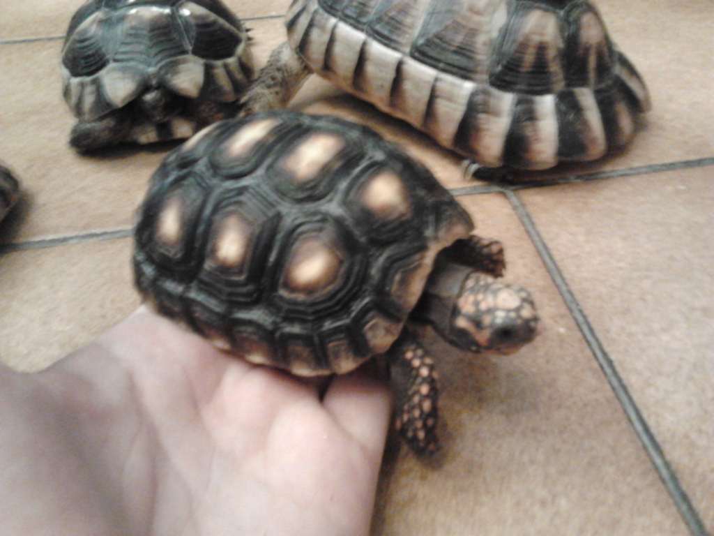 2011-11-15 01.51.10 [1024x768].jpg