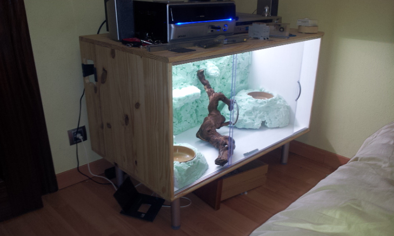 2011-12-06 22.54.13.jpg