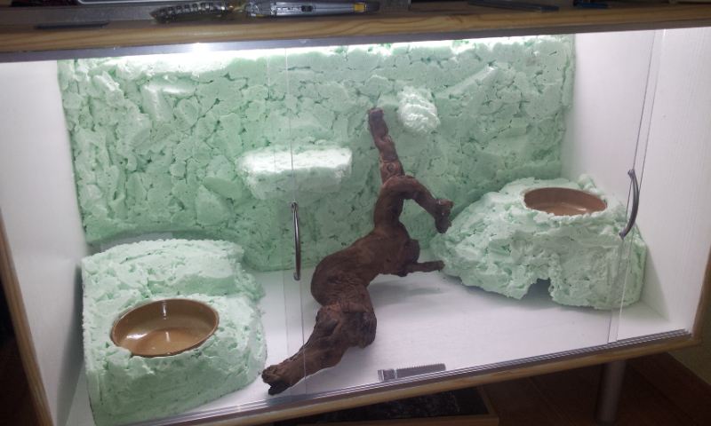 2011-12-06 22.55.05.jpg