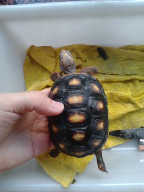 2012-02-11 15.44.29 [1024x768].jpg