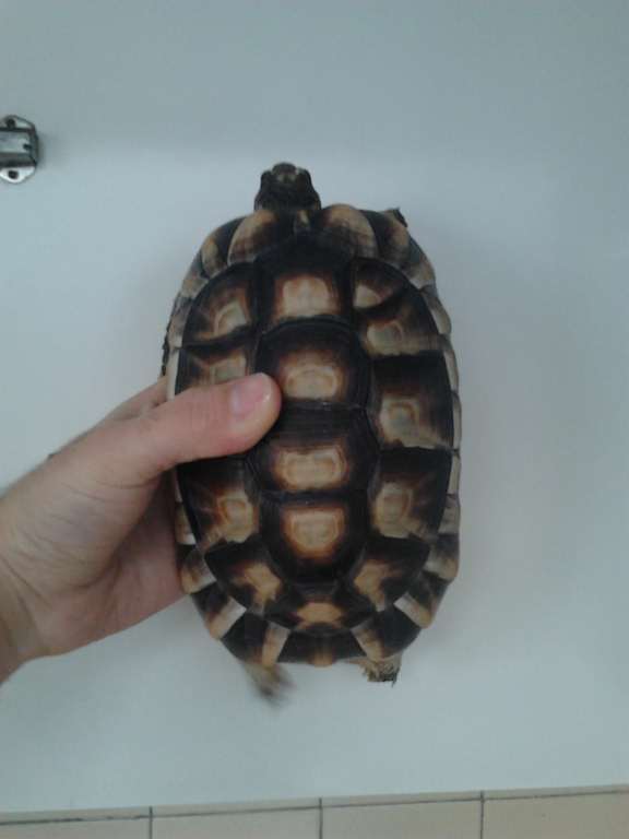 2012-02-11 15.45.14 [1024x768].jpg