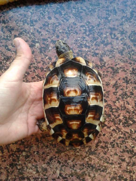 2012-02-11 15.47.16 [1024x768].jpg