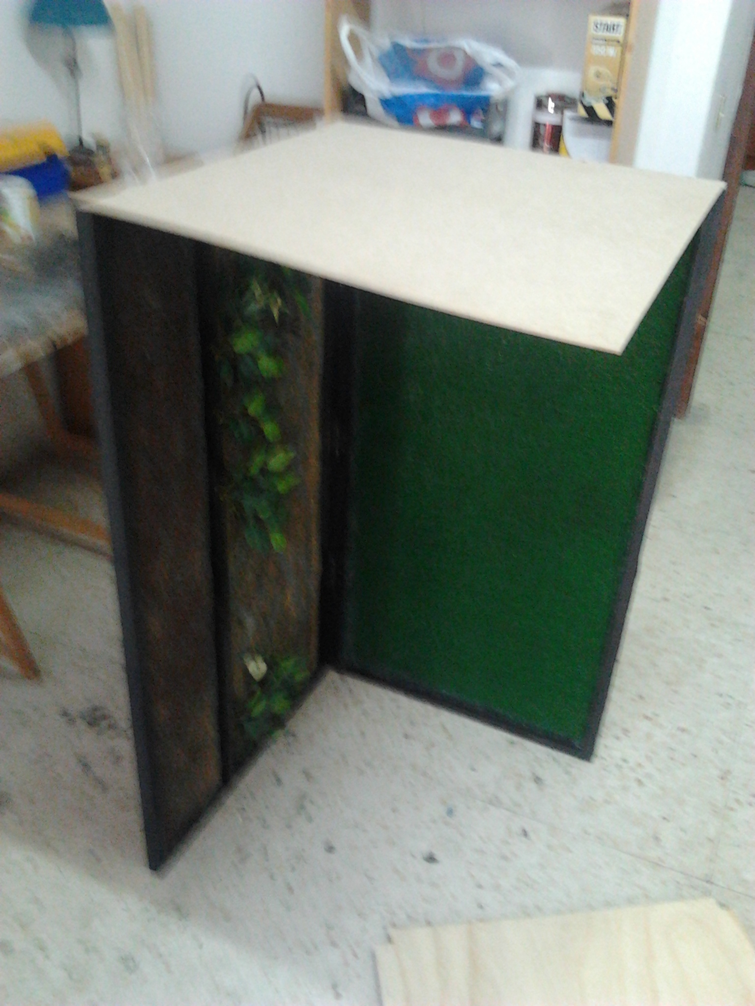 2012-02-27 12.17.02.jpg