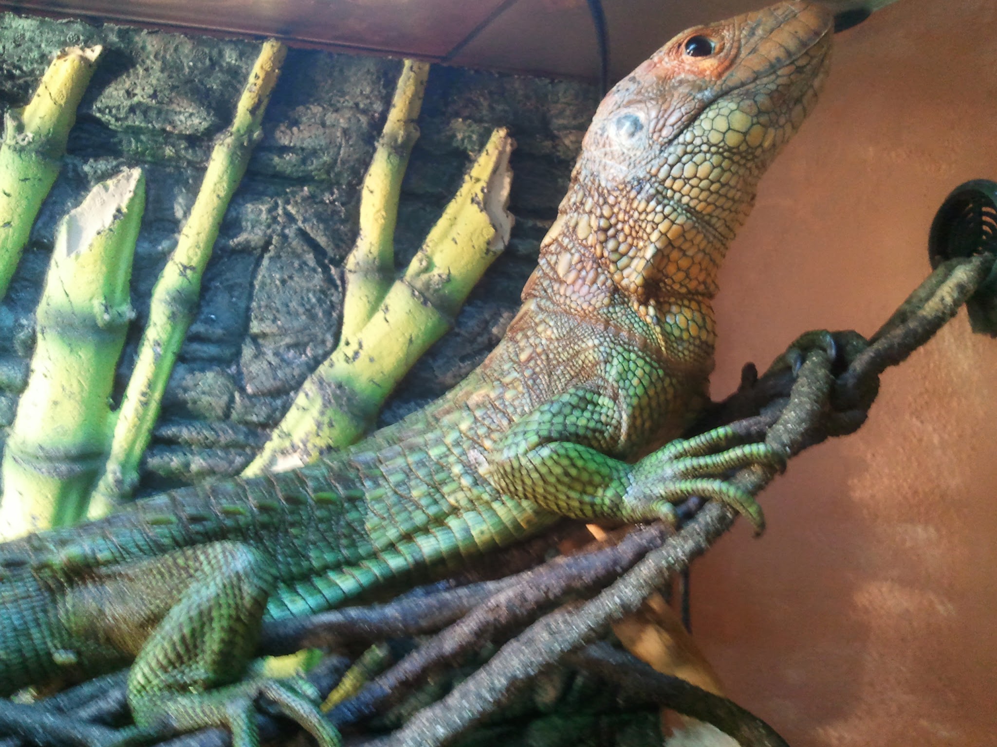 2012-03-27 19.12.20.jpg