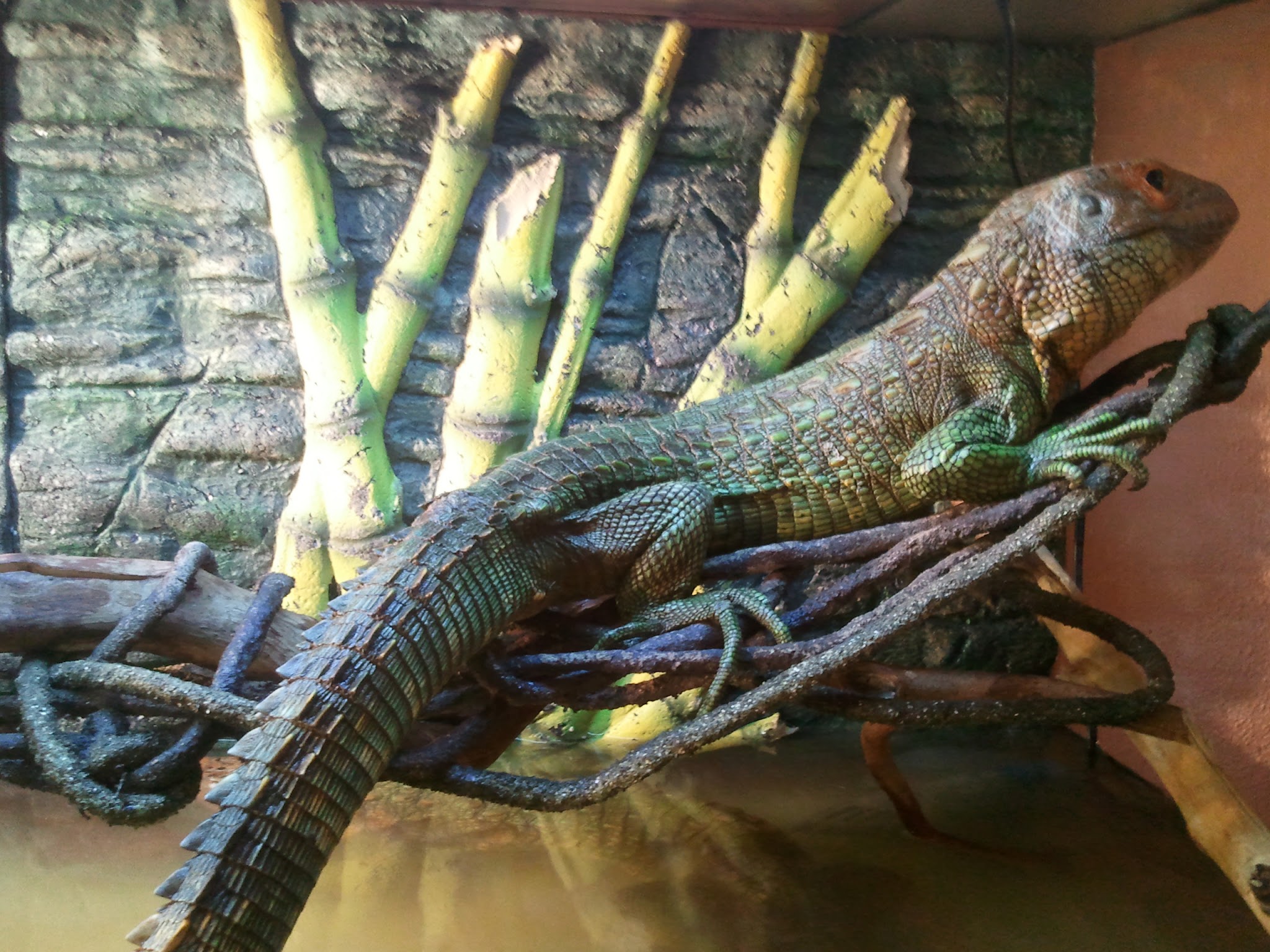 2012-03-27 19.12.42.jpg