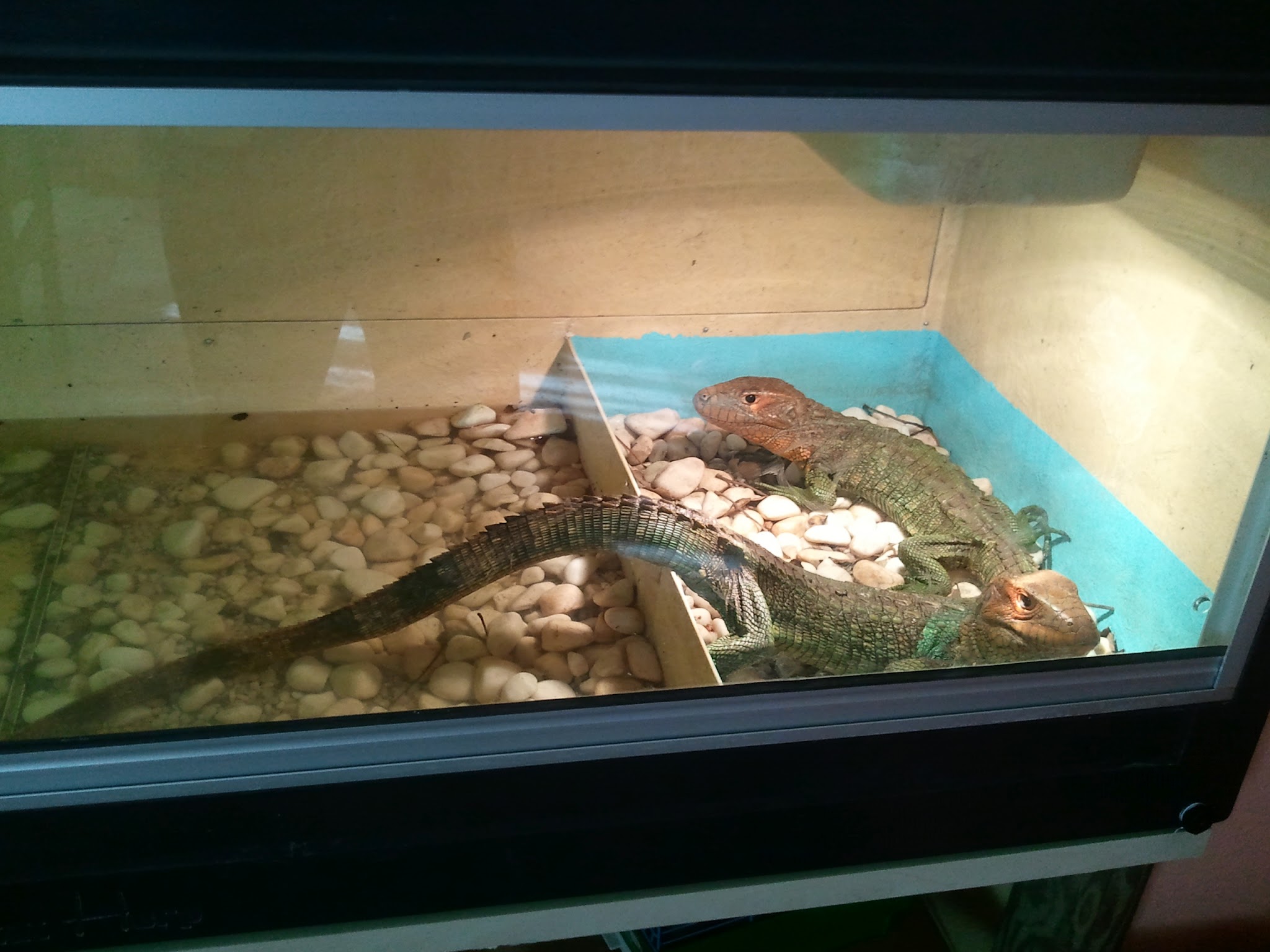 2012-04-22 18.04.43.jpg