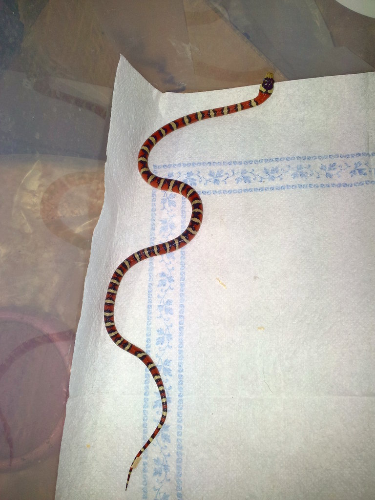 2012 05 19 18 47 11(2)