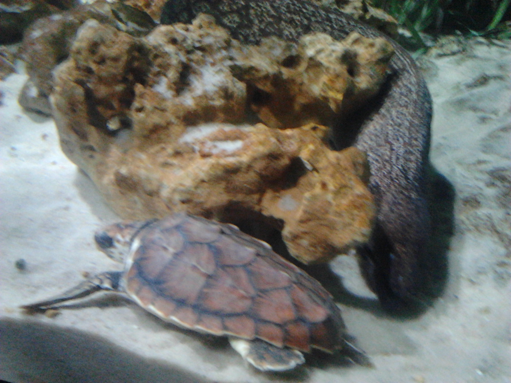 2012-07-11 19.50.20.jpg