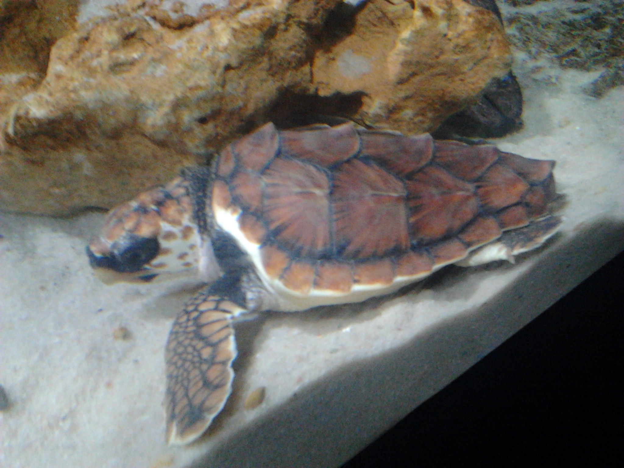 2012-07-11 19.51.23.jpg