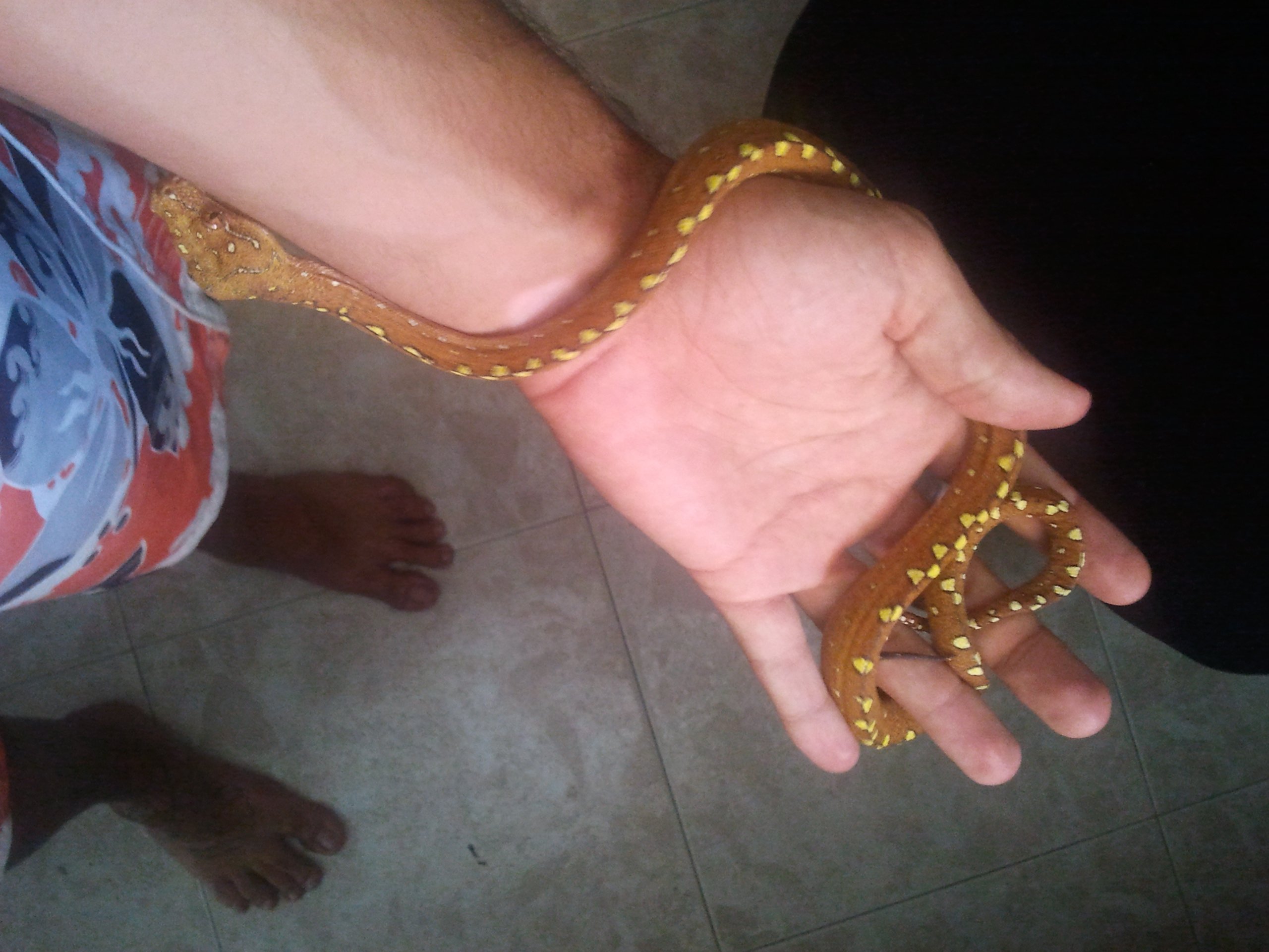 2012-07-17 17.40.32.jpg