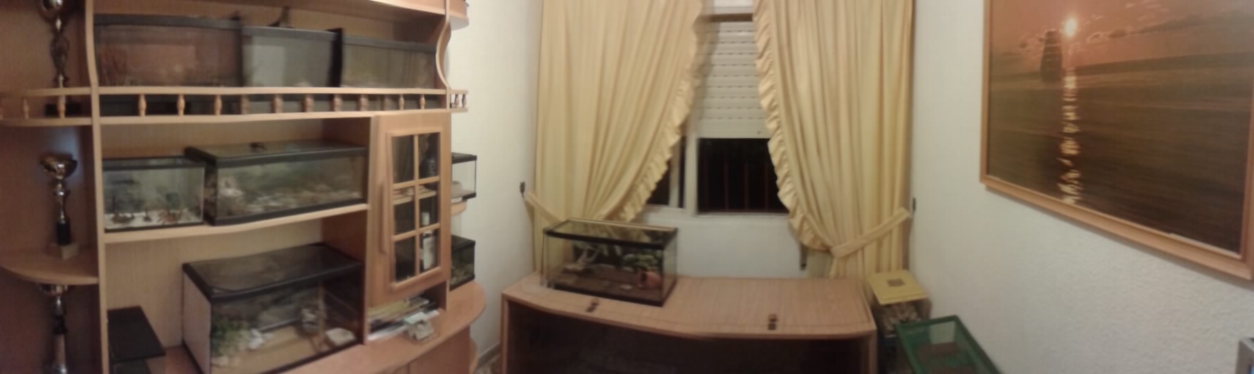 2012-07-26 03.34.04.jpg