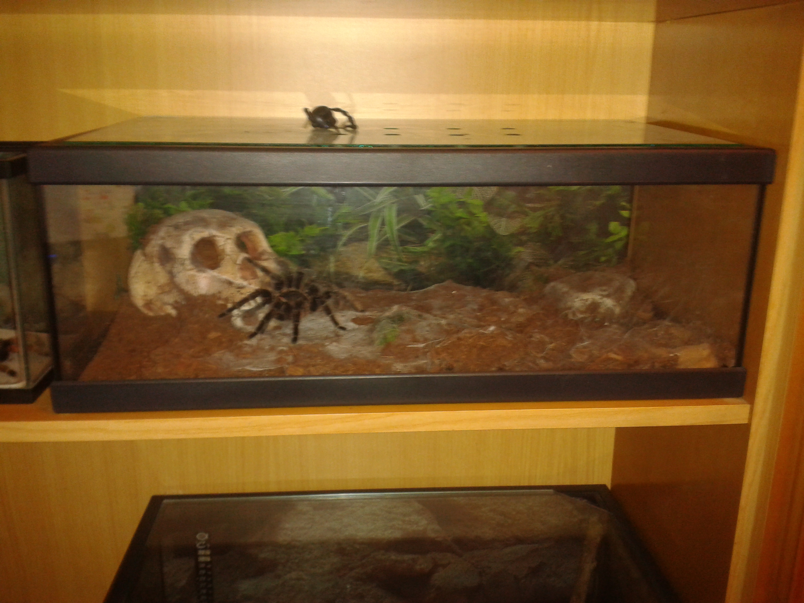 2012-07-26 03.36.21.jpg