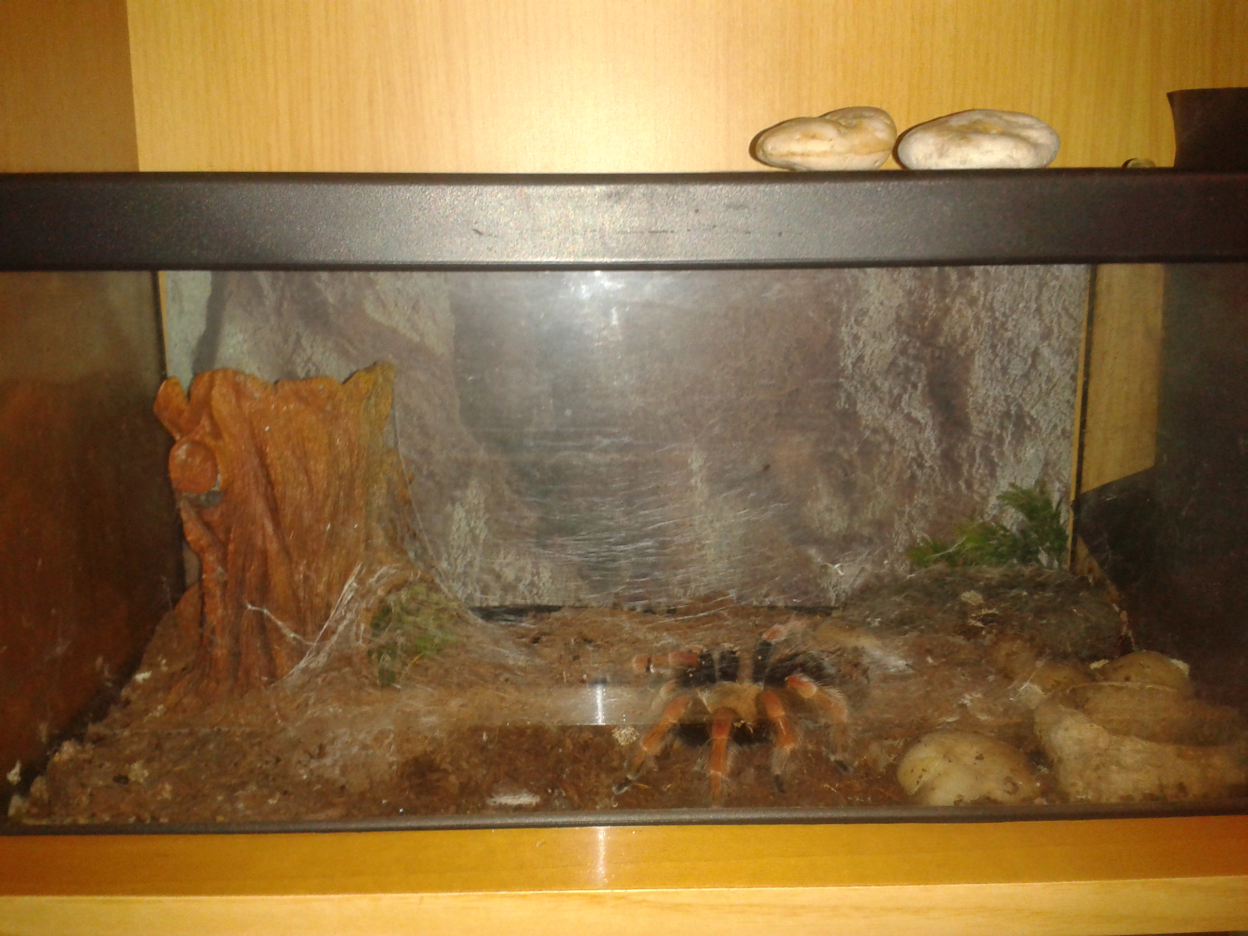 2012-07-26 03.36.50.jpg