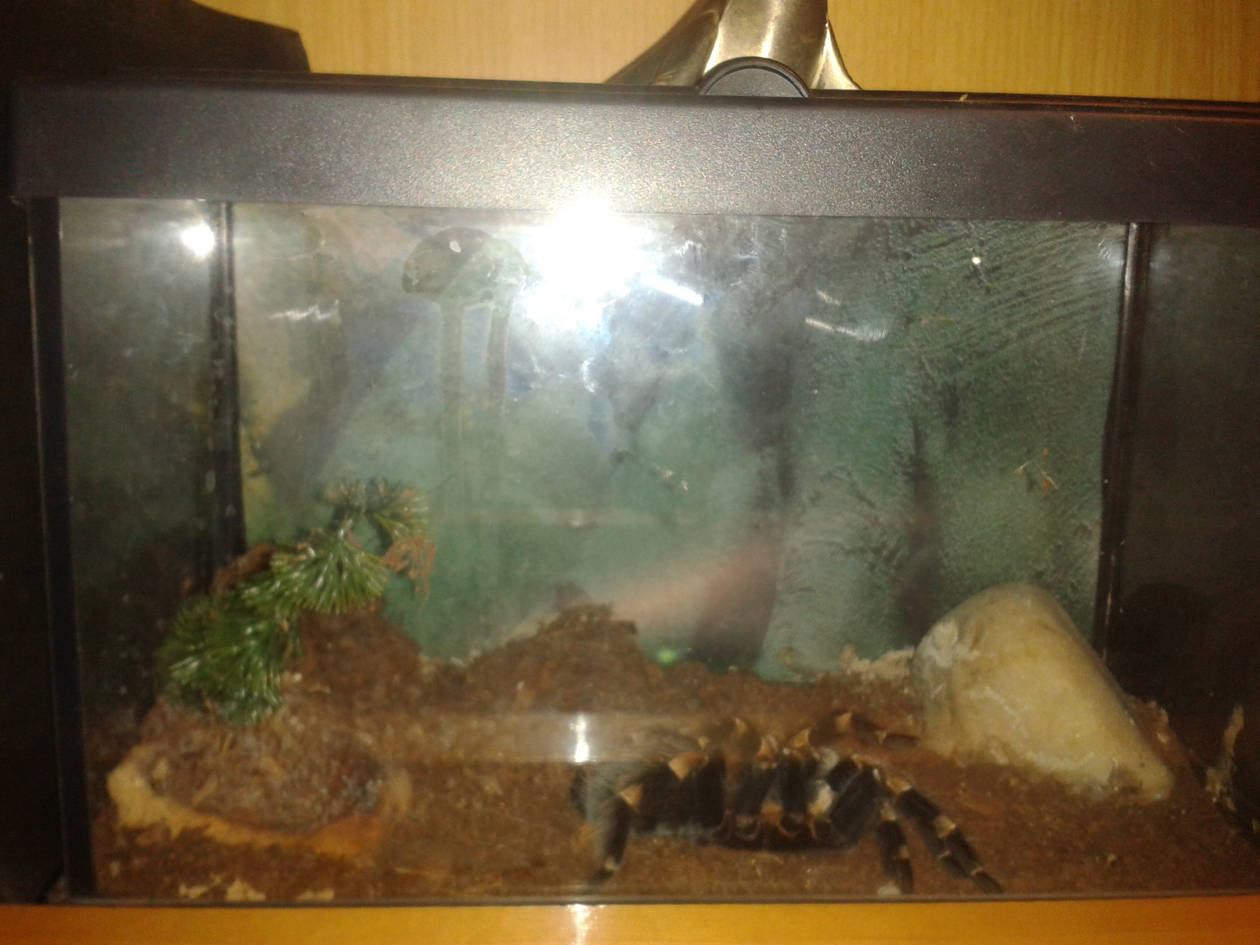 2012-07-26 03.37.08.jpg