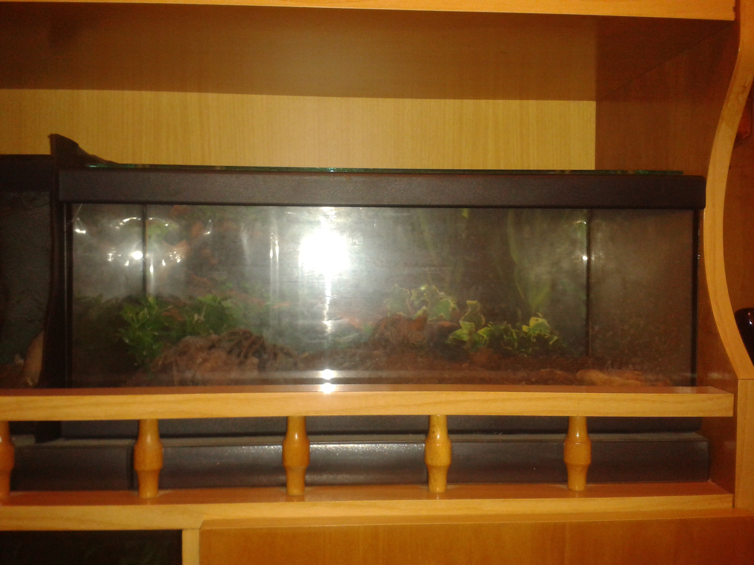 2012-07-26 03.37.48.jpg