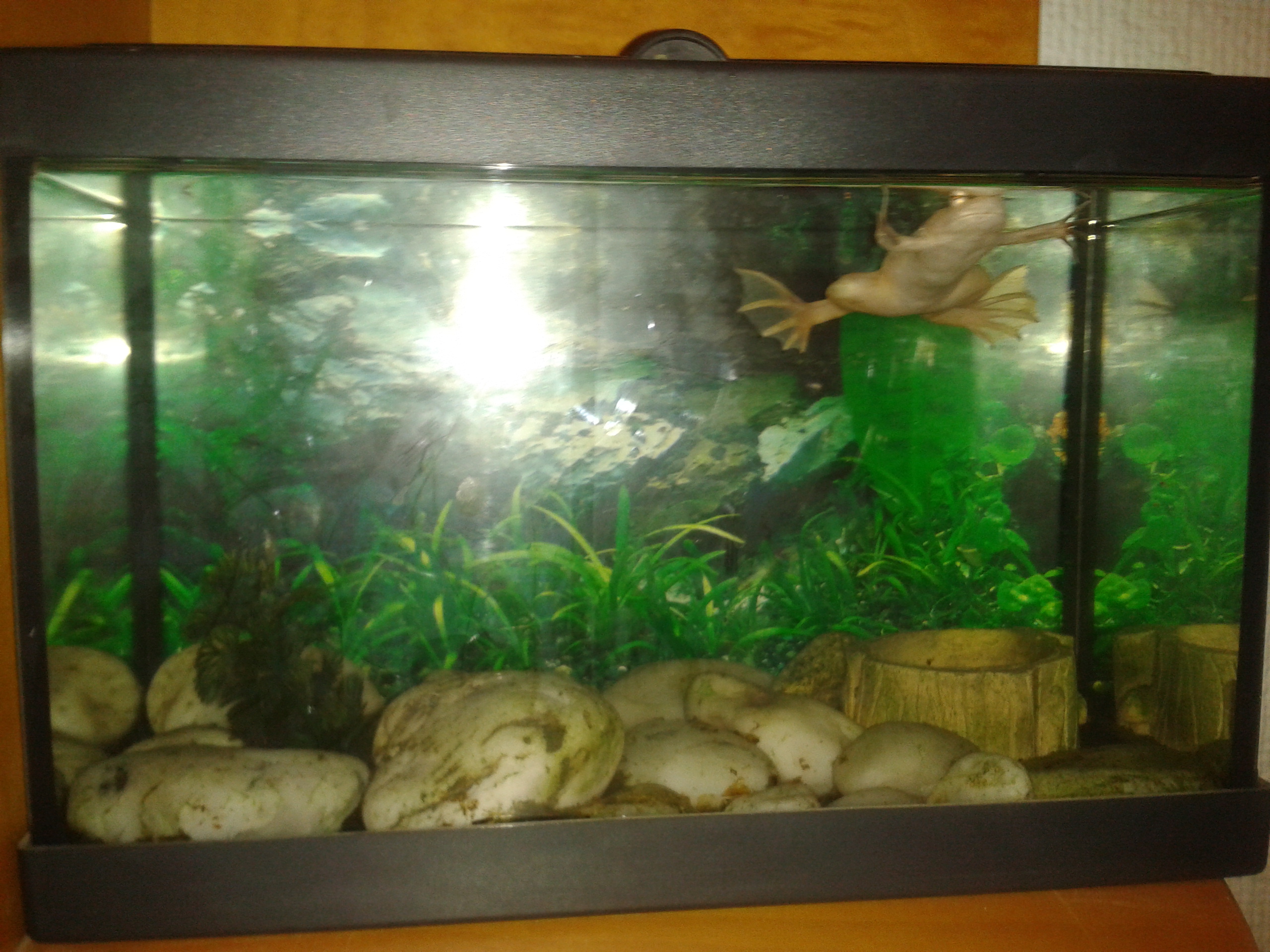 2012-07-26 03.38.11.jpg