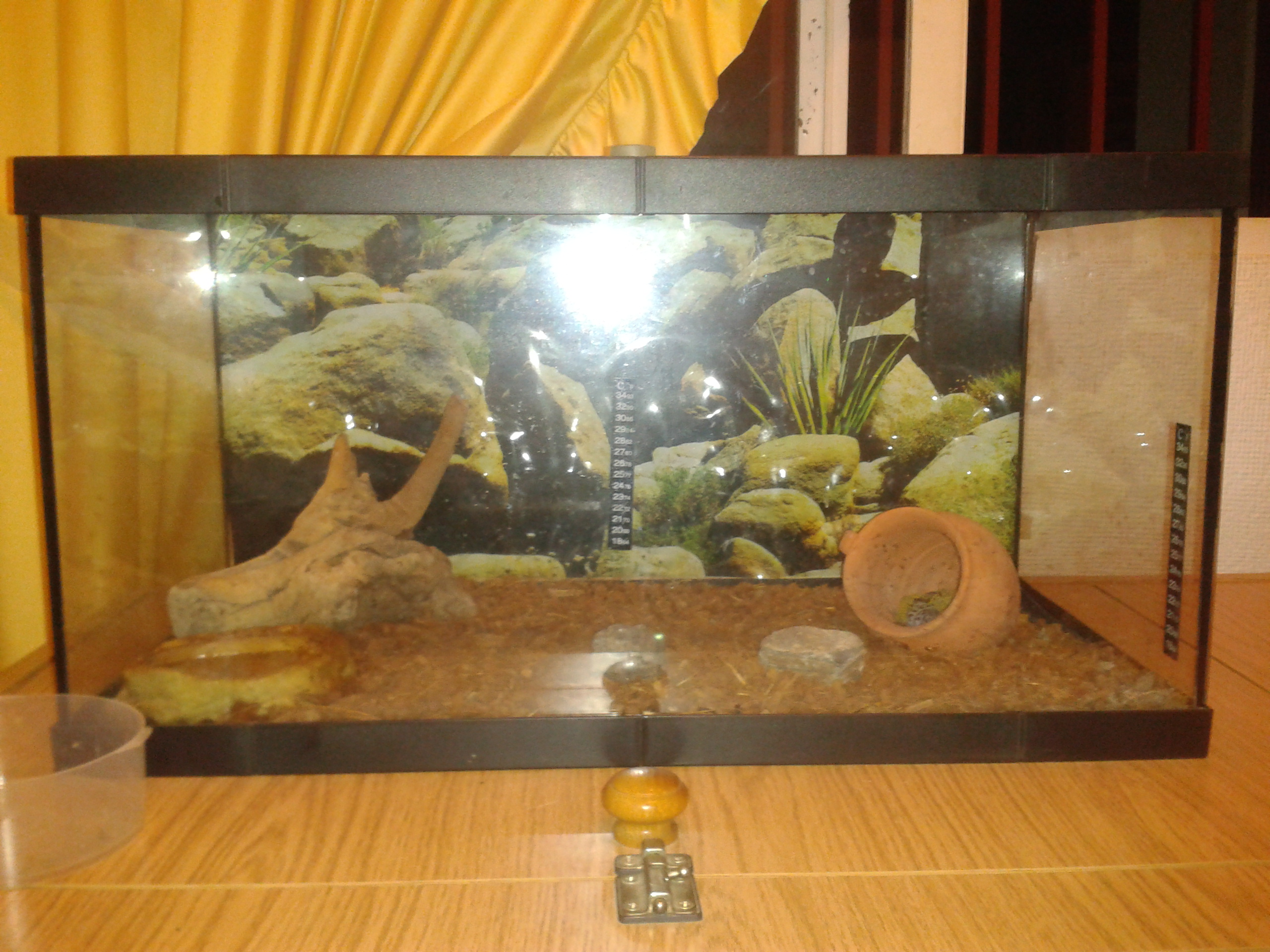 2012-07-26 03.38.33.jpg