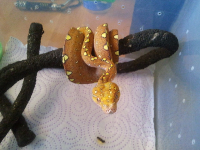 2012-08-05 13.33.56.jpg