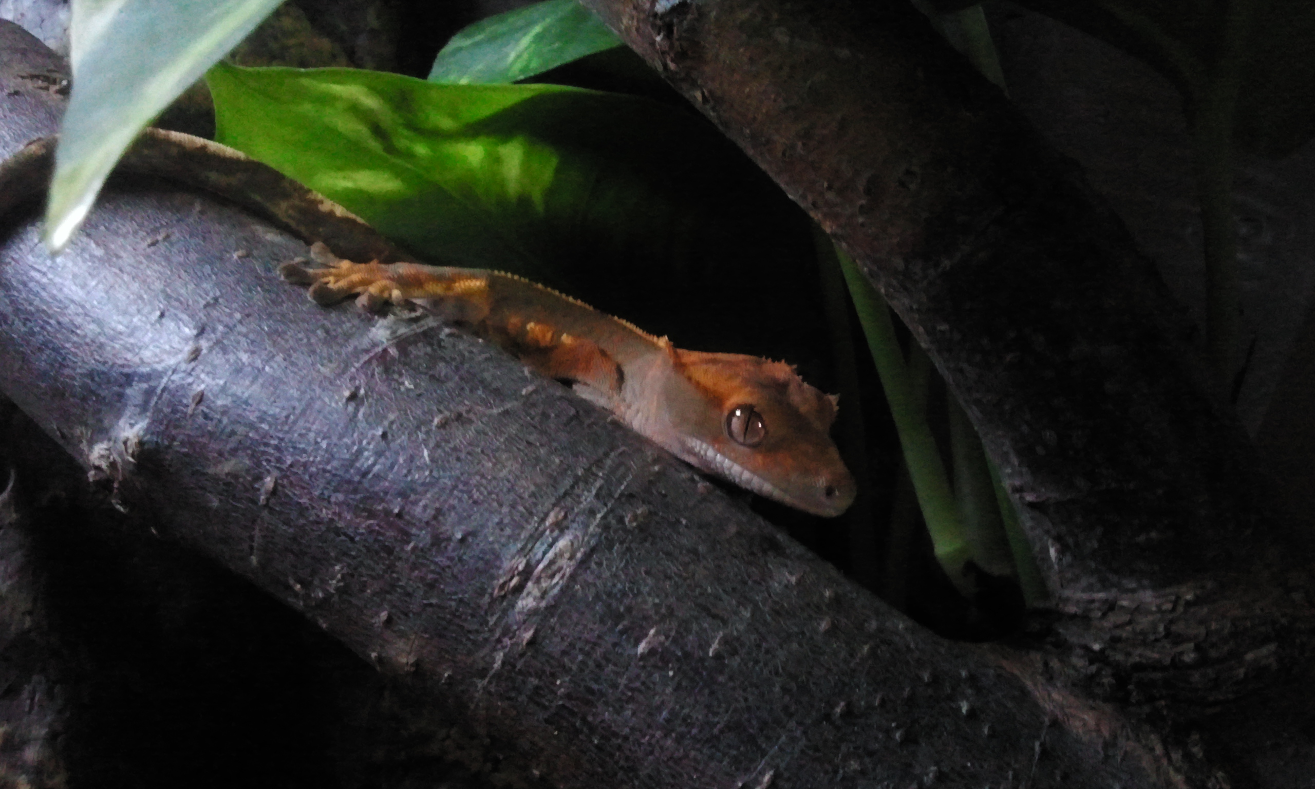 2012-09-22 08.25.44.jpg