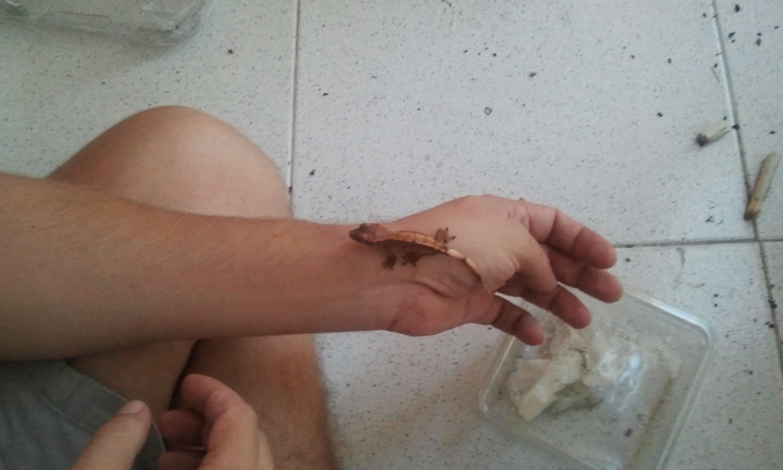 2012-09-22 19.50.23.jpg