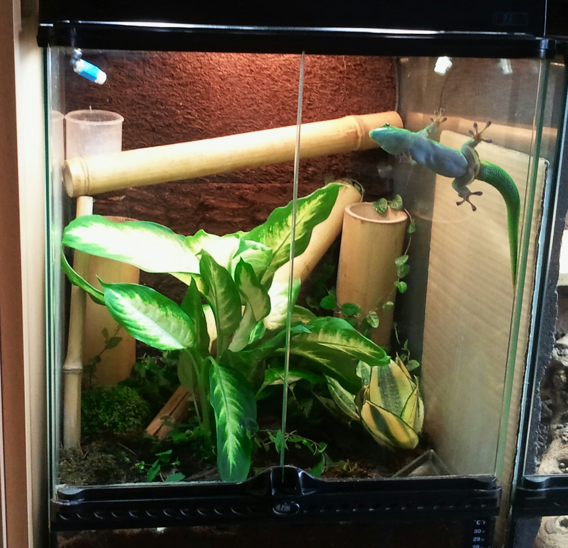 2012-09-30 16.39.32-1.jpg