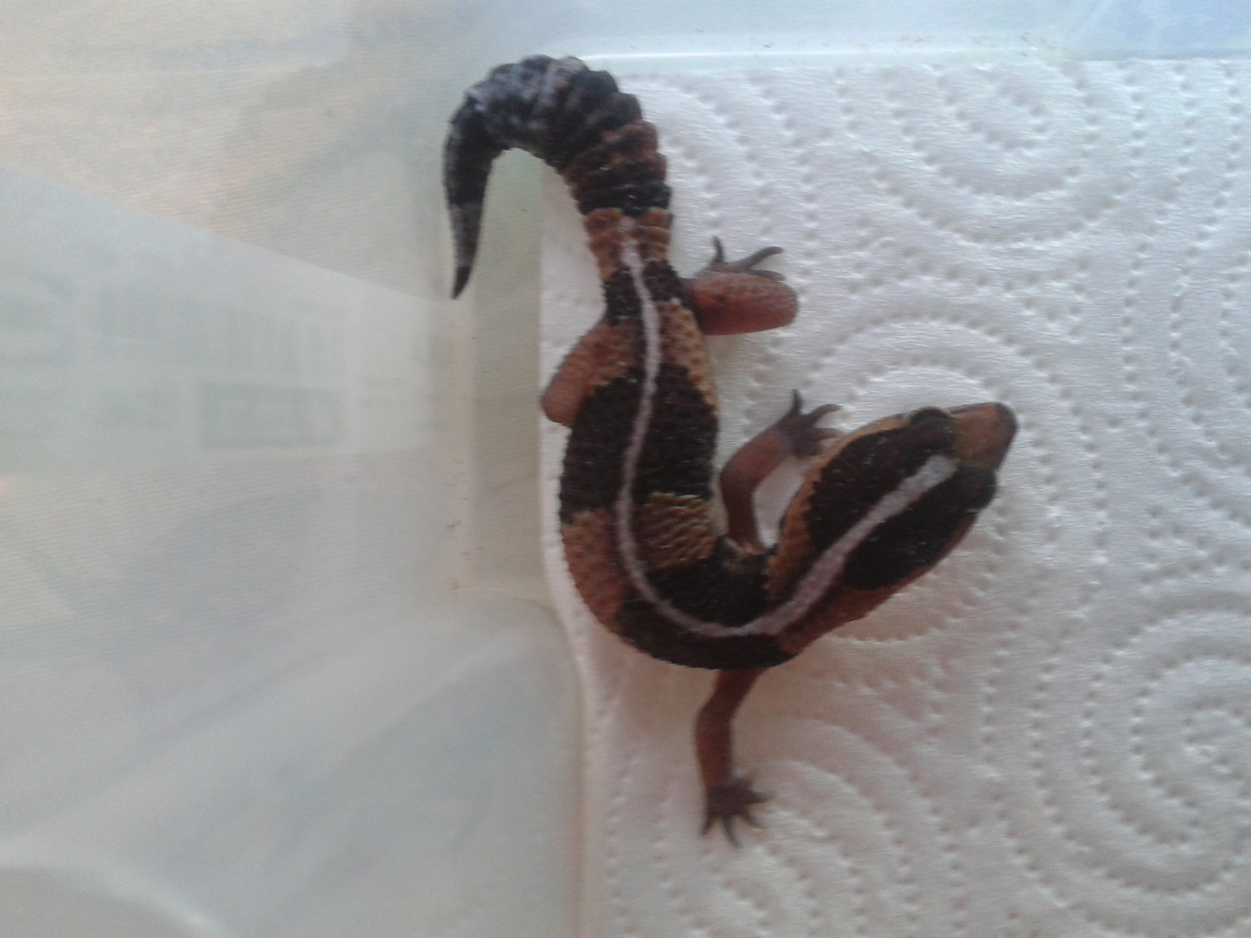 2012-09-30 18.41.36.jpg