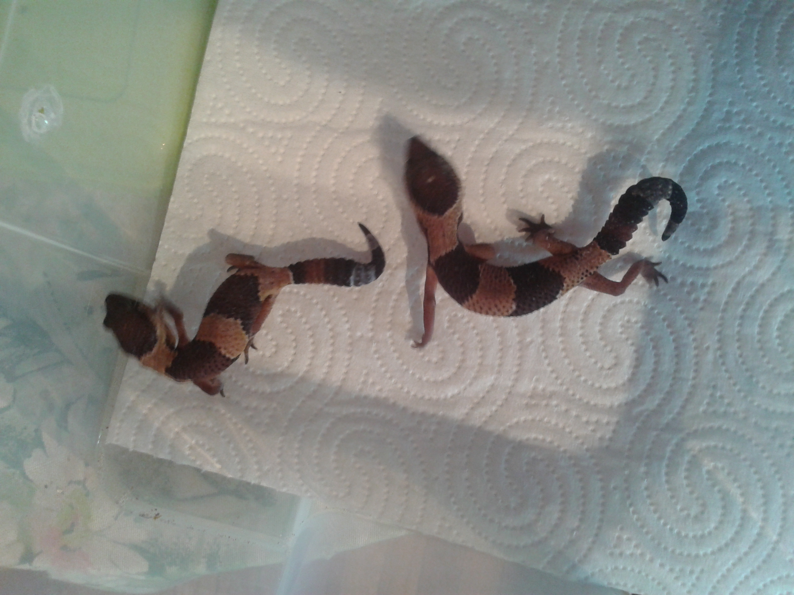 2012-09-30 18.41.53.jpg