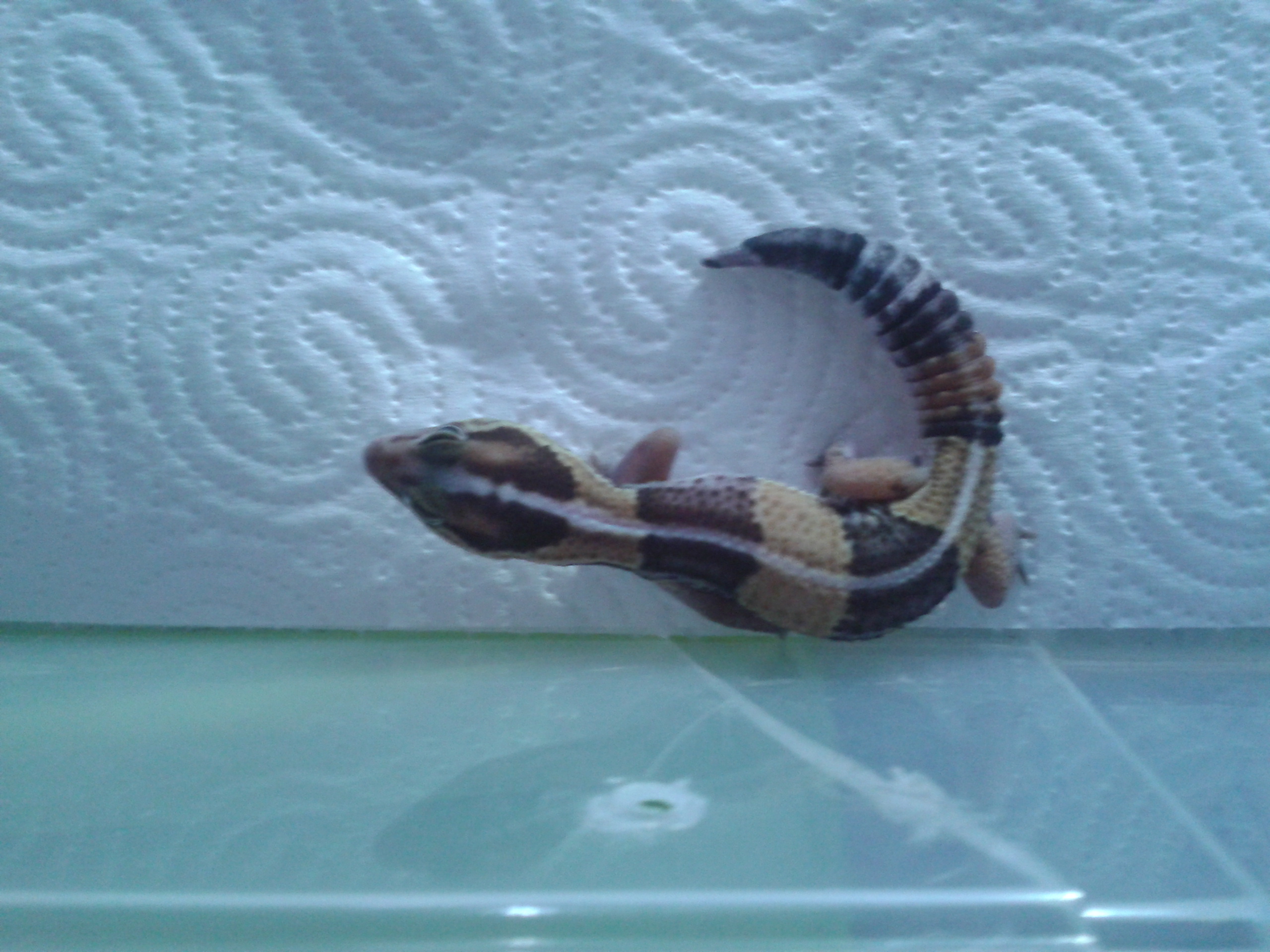 2012-09-30 18.46.36.jpg