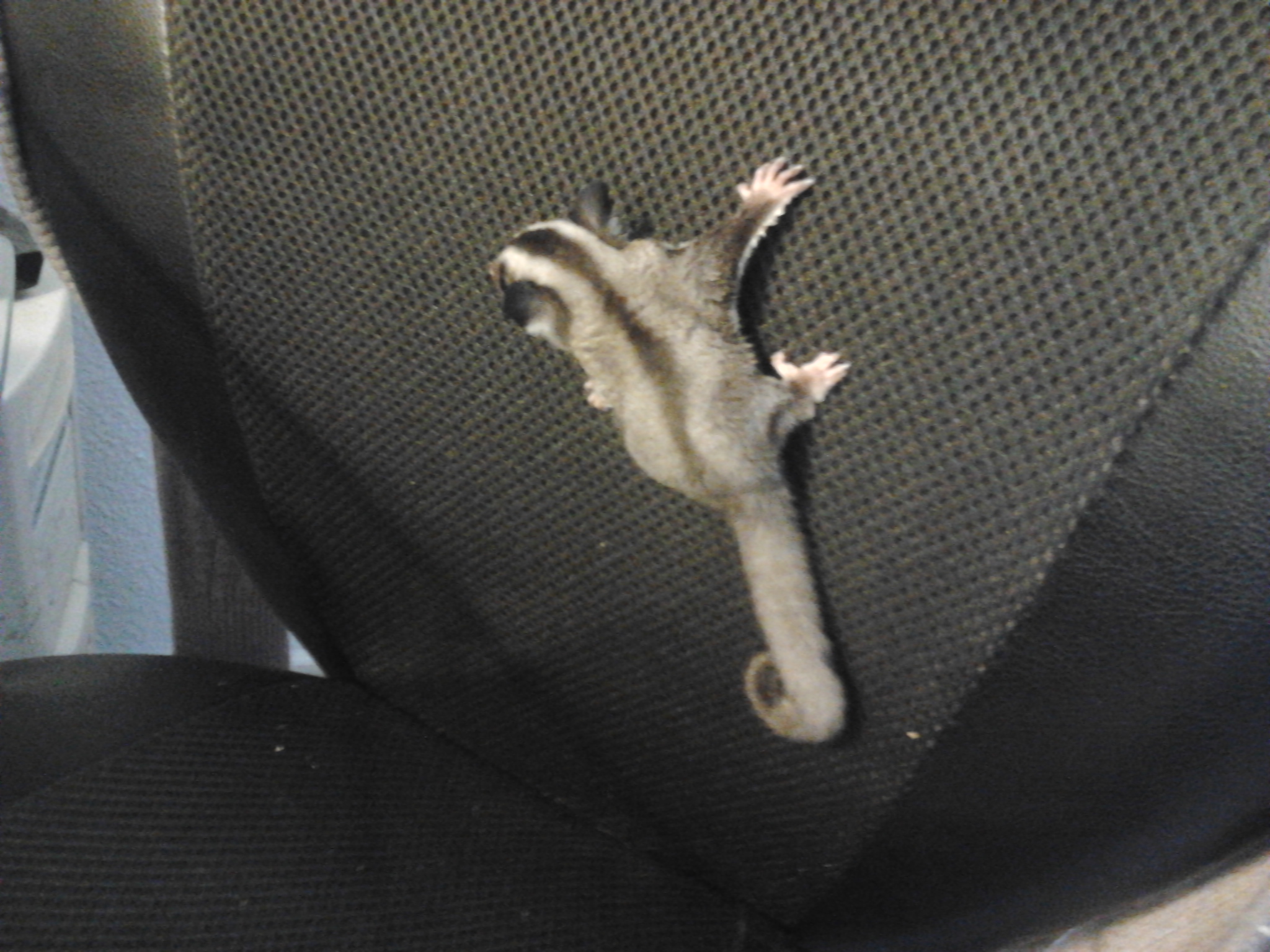 2012-10-17 16.25.16.jpg