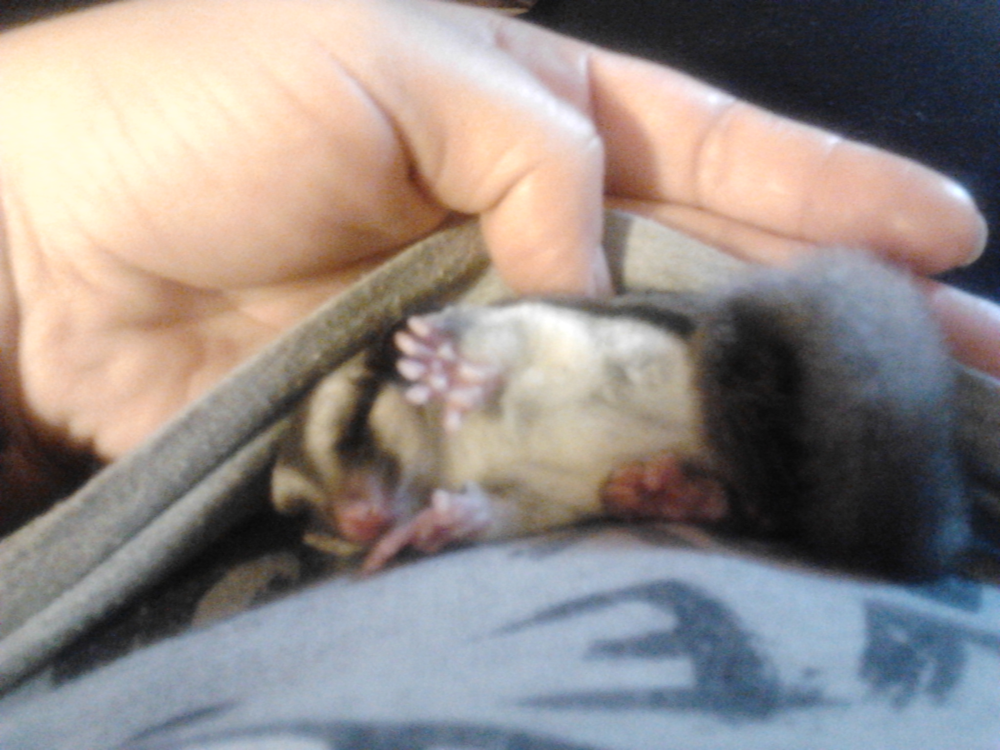 2012-10-26 16.58.41.jpg