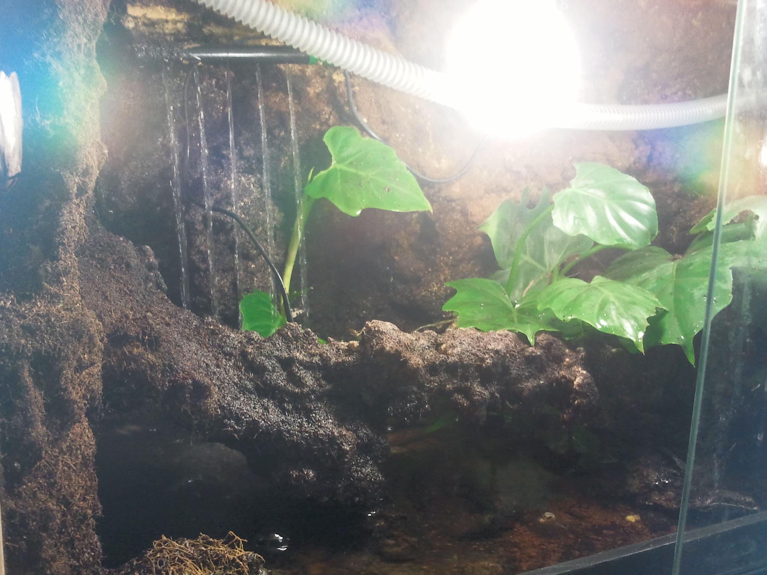 2012-12-29 10.49.07.jpg