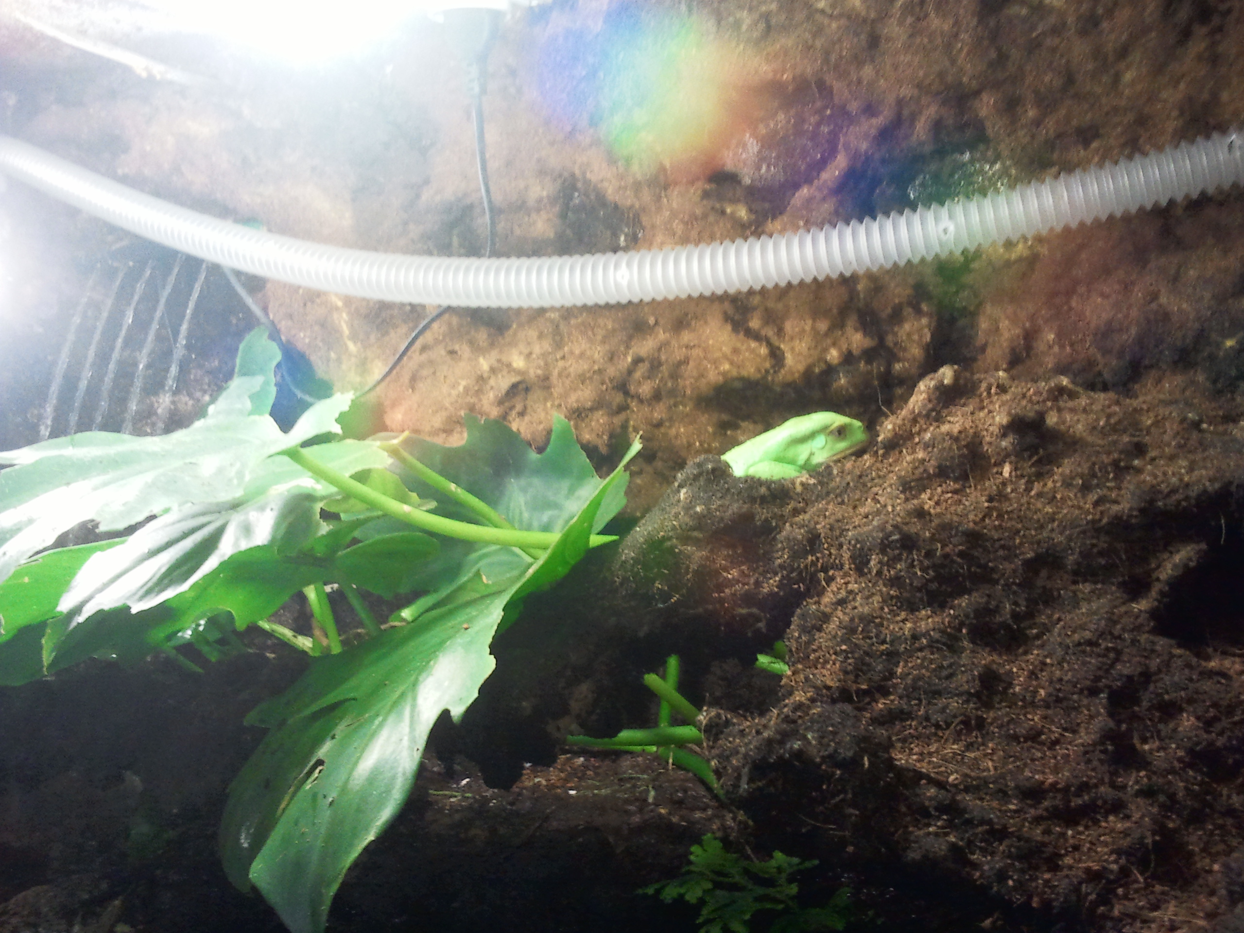 2012-12-29 10.49.41.jpg