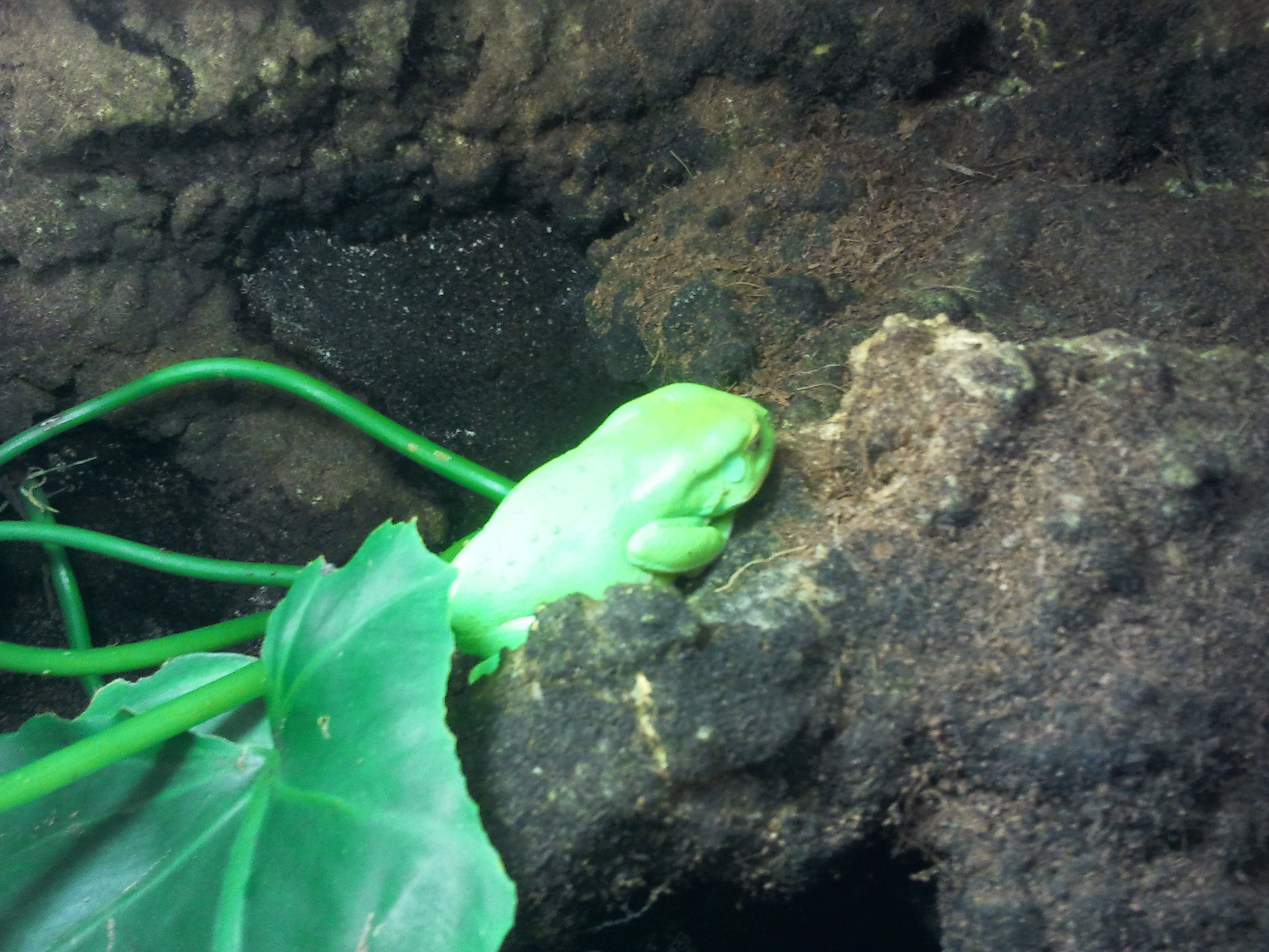 2012-12-29 10.49.55.jpg