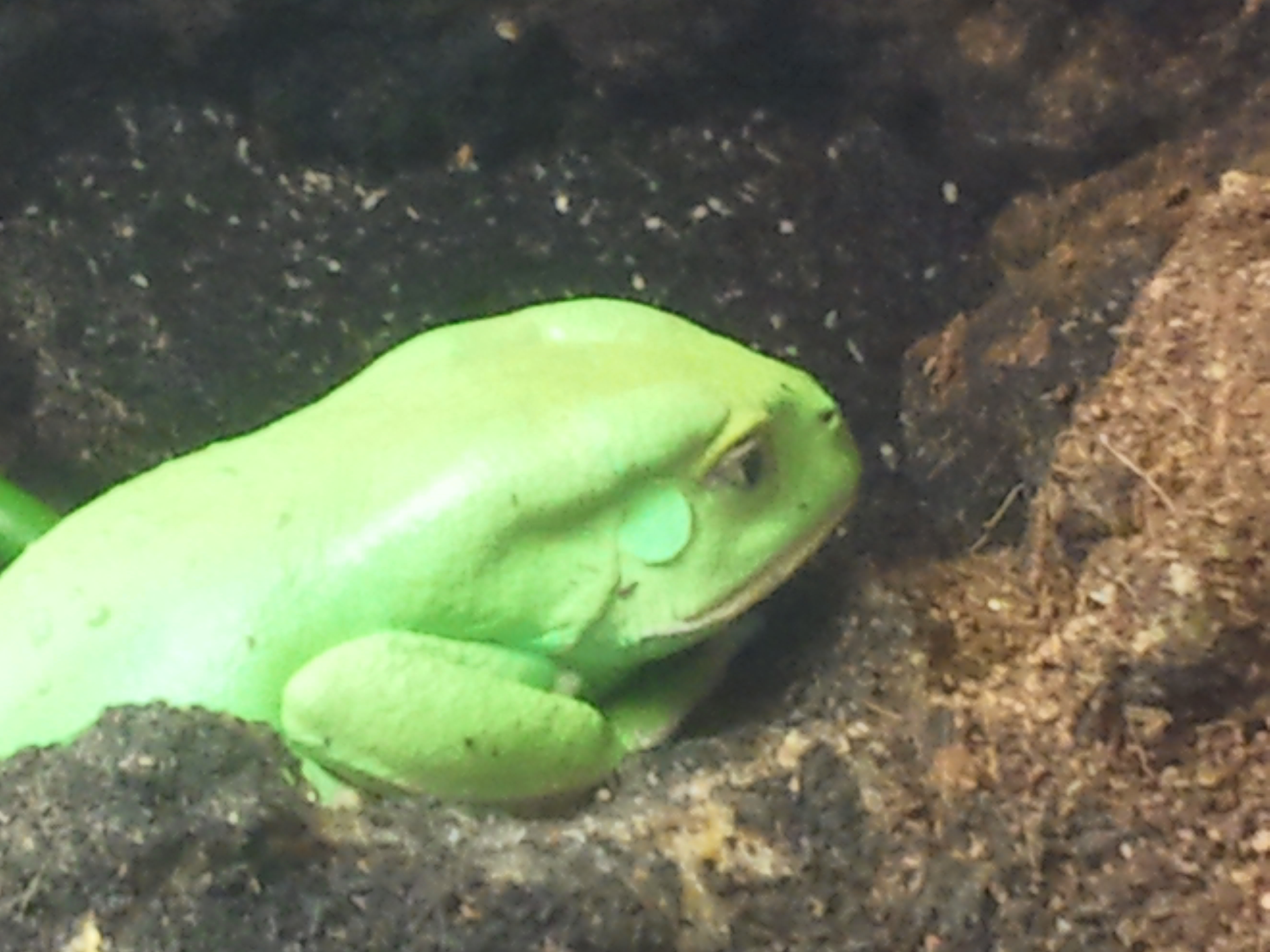 2012-12-29 10.50.08.jpg