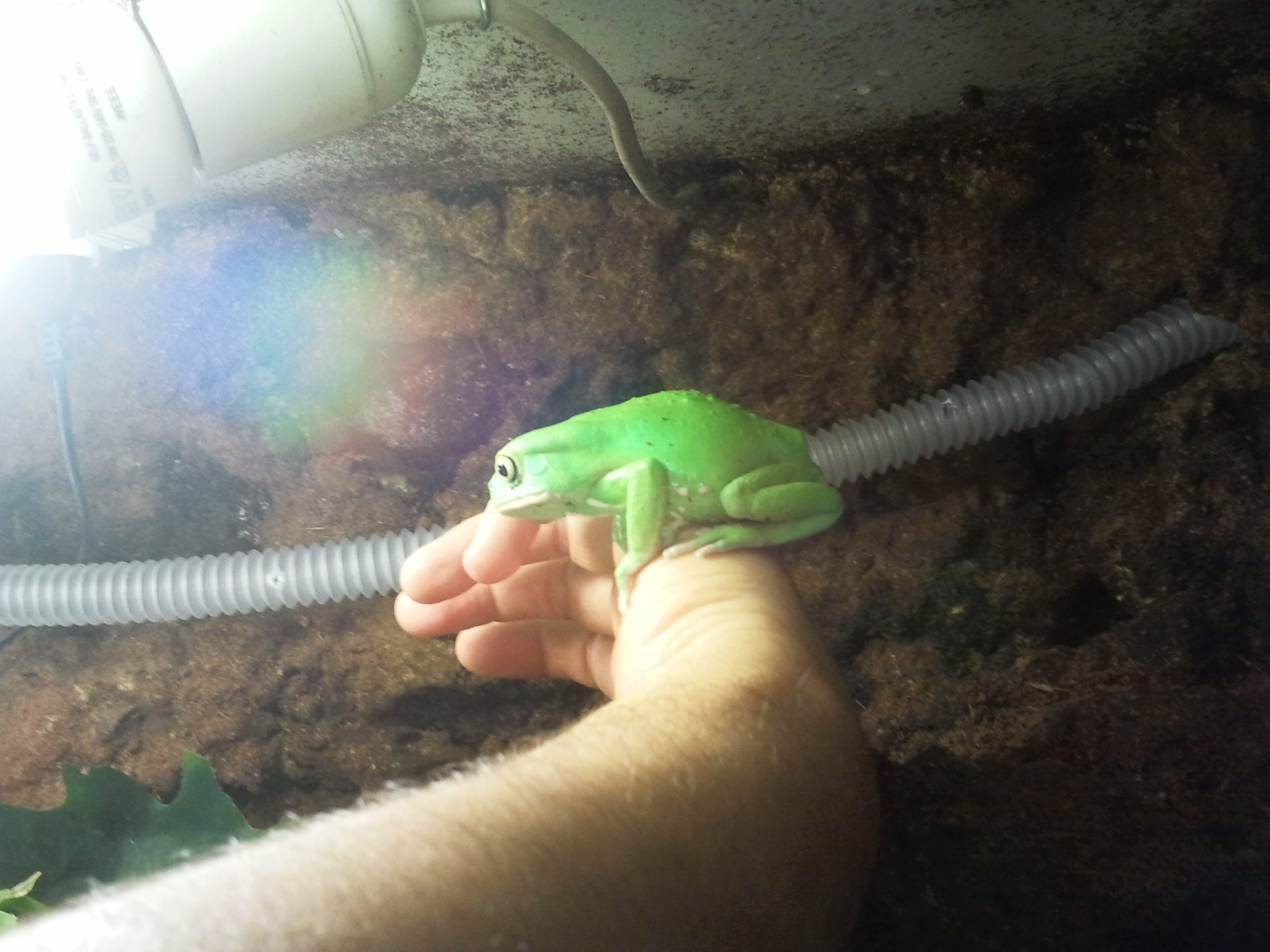 2012-12-29 10.51.37.jpg